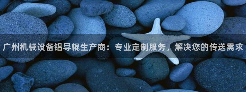 杏盛平台代理：广州机械设备铝导辊生产商：专业定制服务，解决您的传送需求