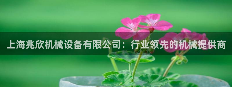 杏盛app下载：上海兆欣机械设备有限公司